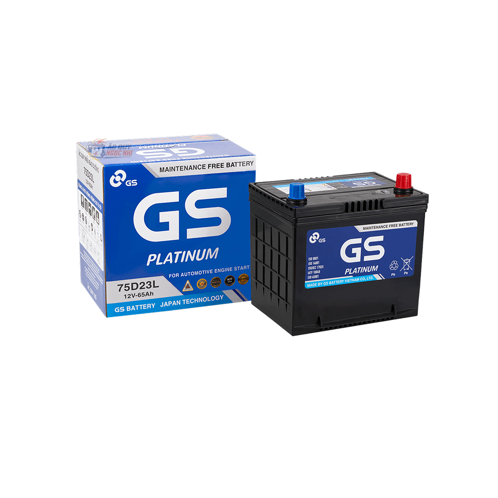 Bình ắc quy GS 65Ah ảnh 3