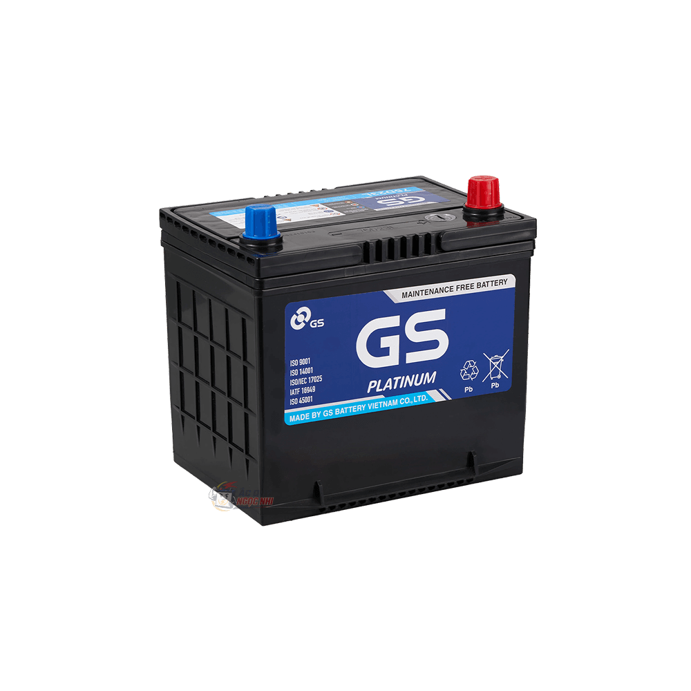 Bình ắc quy GS 65Ah ảnh 2