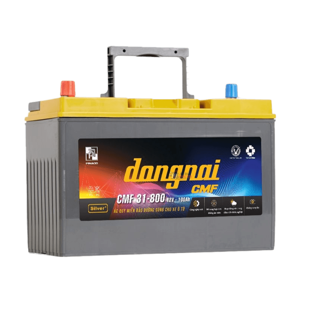 Bình ắc quy Đồng Nai 100Ah ảnh 2