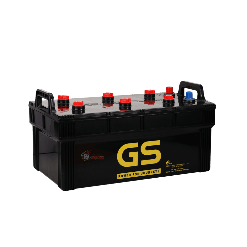 Ảnh GS N220 220Ah